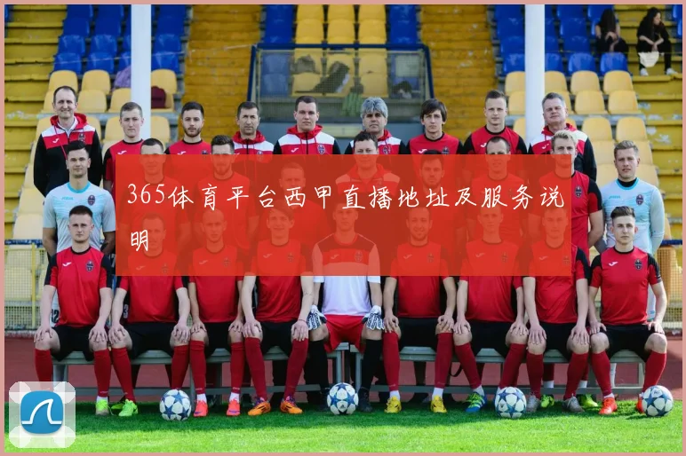 365体育平台西甲直播地址及服务说明