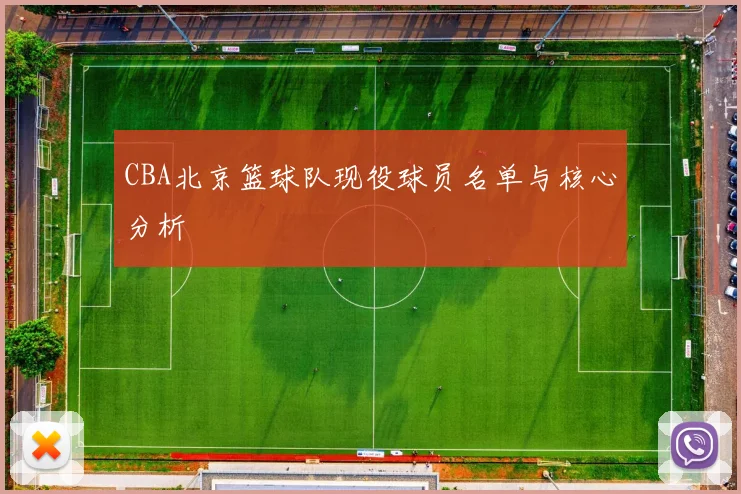 CBA北京篮球队现役球员名单与核心分析