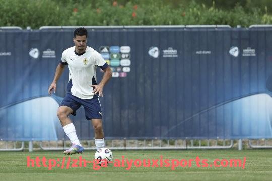 爱游戏体育官网-历年意甲球队阵容图片与赛季变化对比