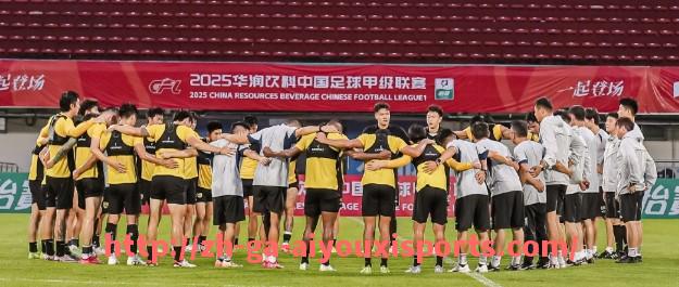 爱游戏体育官网-西甲联赛大名单制度及球员注册规则解析